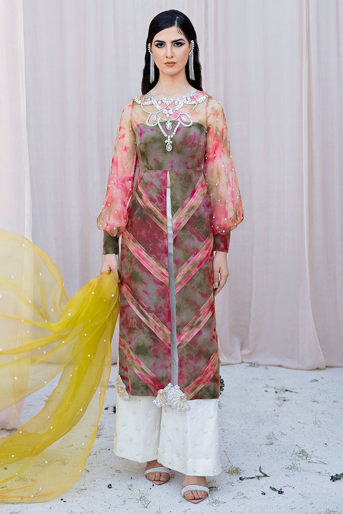 Picture of Bird Wing